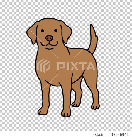拉布拉多獵犬的例證 拉布拉多獵犬的例證 138946941