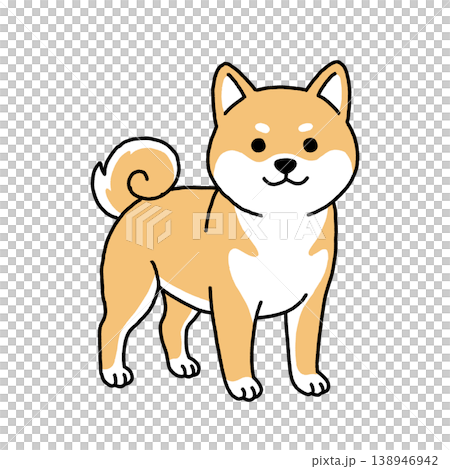 An illustration of a cute standing Shiba Inu. 138946942
