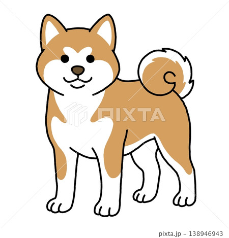 凛々しい秋田犬の立ち姿イラスト 138946943