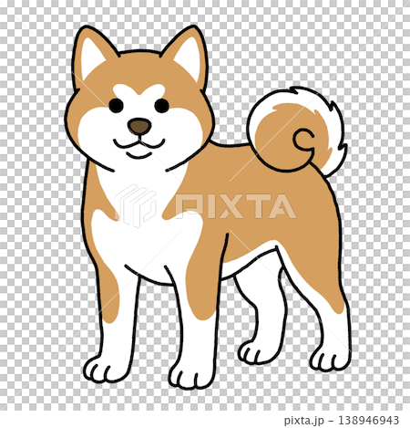 凛々しい秋田犬の立ち姿イラスト 138946943