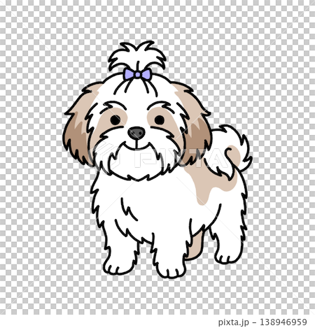 シーズー犬の立ち姿のイラスト 138946959