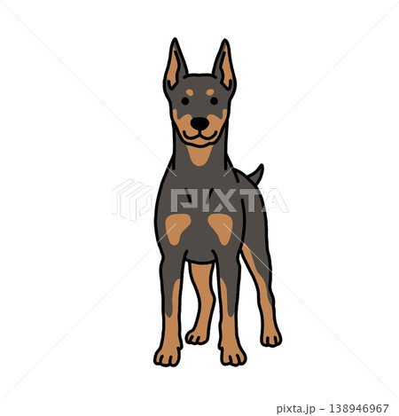 凛々しいドーベルマンのイラスト 138946967