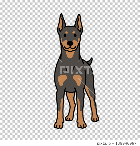 凛々しいドーベルマンのイラスト 138946967