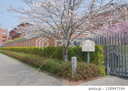 春の薩摩藩邸跡の石碑 138947184