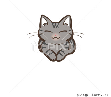 正面を向いて座る猫 (キジトラ猫) 138947234