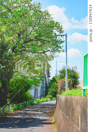 初夏の青空の広がる東京葛飾の中川の風景 初夏の青空の広がる東京葛飾の中川の風景 138947614