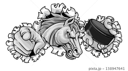 Horse Mustang Stallion Ice Hockey Sports Mascot 138947641