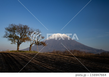 絶景羊蹄山 138947664