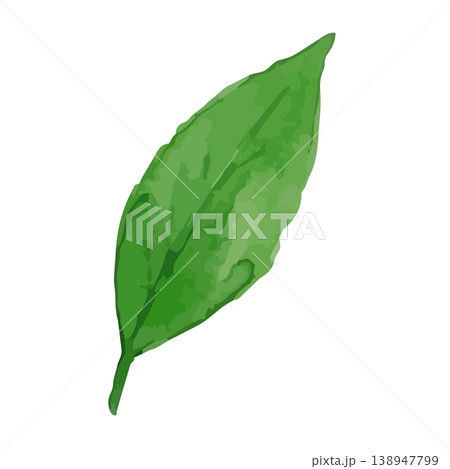 水彩風の茶葉のイラスト 138947799