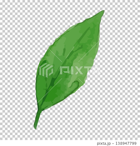 茶葉的水彩風格插圖 茶葉的水彩風格插圖 138947799