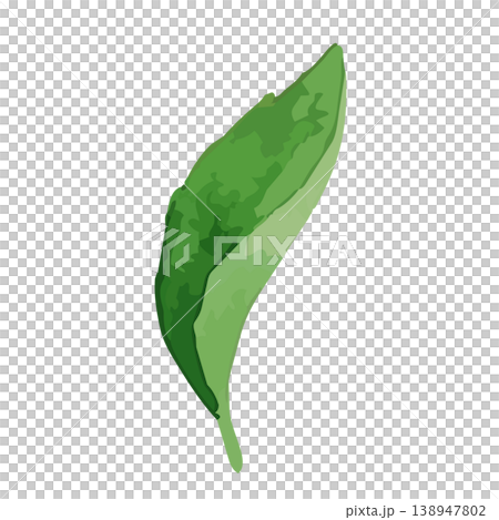 Watercolor-style illustration of tea leaves Watercolor-style illustration of tea leaves 138947802