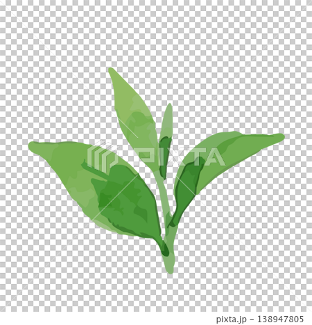 水彩風の茶葉のイラスト 138947805