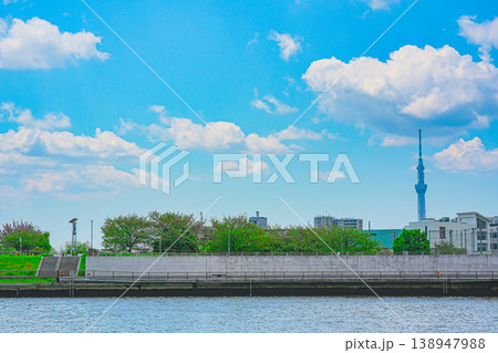 初夏の青空の広がる東京葛飾の中川の風景 初夏の青空の広がる東京葛飾の中川の風景 138947988