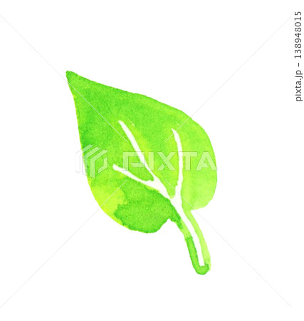 シンプルで優しい緑色の葉っぱ　植物の手描き水彩イラスト素材 138948015
