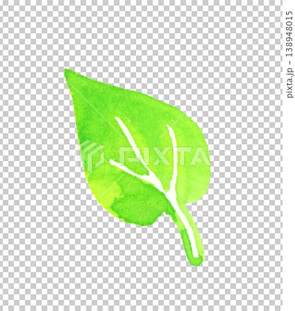 シンプルで優しい緑色の葉っぱ　植物の手描き水彩イラスト素材 138948015