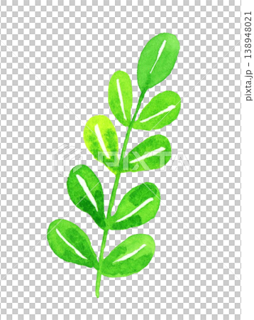 Simple and gentle green plants: Hand-drawn watercolor illustrations of plants and leaves. Simple and gentle green plants: Hand-drawn watercolor illustrations of plants and leaves. 138948021