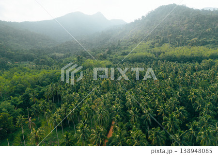 Aerial landscape of a vast tropical coconut plantation and green forest with misty mountains in the background. Aerial landscape of a vast tropical coconut plantation and green forest with misty mountains in the background. 138948085