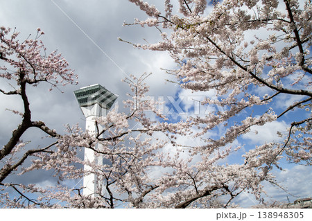五稜郭公園の桜 五稜郭公園の桜 138948305