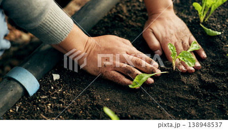 Person hands, gardening and plants in soil for agriculture, sustainability and eco friendly farming of vegetables. Farmer with sprout, green growth and fertilizer or compost for growth or development 138948537