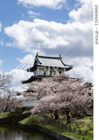 松前公園の桜 松前公園の桜 138948660