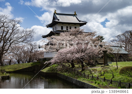 松前公園の桜 138948661