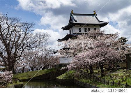 松前公園の桜 松前公園の桜 138948664