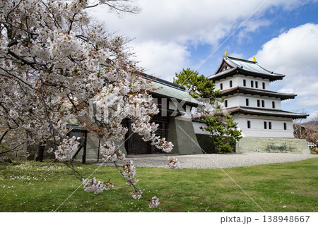 松前公園の桜 松前公園の桜 138948667