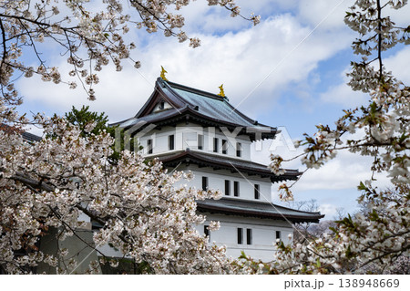 松前公園の桜 松前公園の桜 138948669