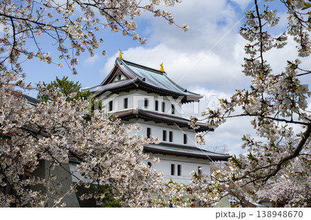松前公園の桜 松前公園の桜 138948670