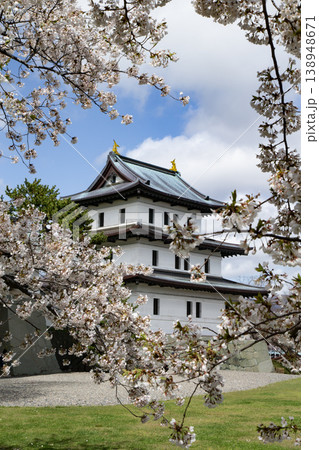 松前公園の桜 松前公園の桜 138948671