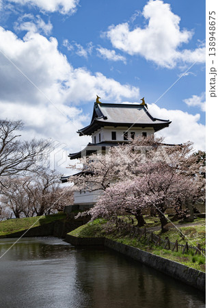 松前公園の桜 松前公園の桜 138948675