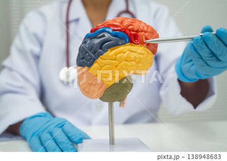 Alzheimer disease, Asian doctor holding brain anatomy model for study diagnosis and treatment in hospital. 138948683