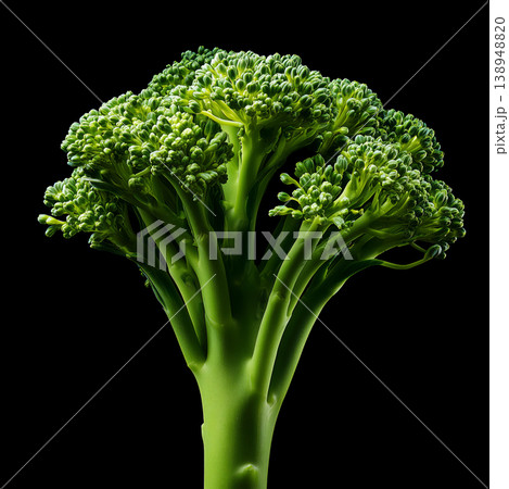 Fresh broccoli sprouting stalk isolated on black background with clipping path, concept of healthy nutrition and organic wellness Fresh broccoli sprouting stalk isolated on black background with clipping path, concept of healthy nutrition and organic wellness 138948820