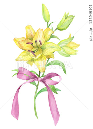 Lily branch with the bow. Handmade watercolor illustration. For packaging design, cards, cover, prints, product labels and fabric. 138949101