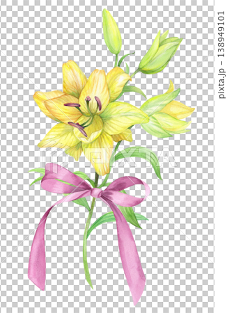 Lily branch with the bow. Handmade watercolor illustration. For packaging design, cards, cover, prints, product labels and fabric. 138949101