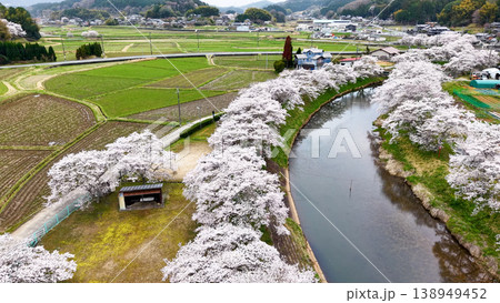 日本の春 満開の桜並木と川 138949452