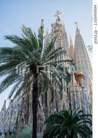 Sagrada Familia basilica with palm trees and blue sky in Barcelona Spain 138949994
