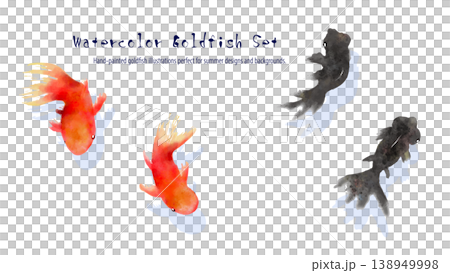 水彩金魚の単体セット素材　和風の夏イラスト　透過背景 138949998