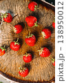 Strawberries. Ripe Strawberry Organic Berries. Juicy Fresh Red Strawberries On An Old Birch Stump 138950012
