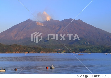 【鹿児島県】道の駅たるみずから見た早朝の（桜島） 138950040