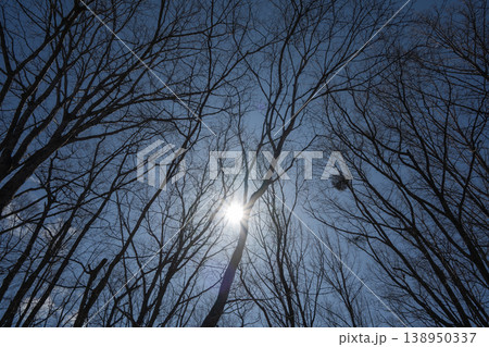 スキー場 ゲレンデ風景 雪原 長野県白馬村 スキー場 ゲレンデ風景 雪原 長野県白馬村 138950337