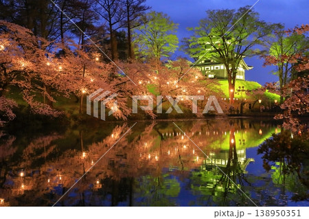 高田城址公園 ライトアップ 高田城址公園 ライトアップ 138950351