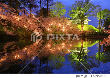 高田城址公園 ライトアップ 高田城址公園 ライトアップ 138950352