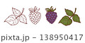 Blackberry Botanical Set. Outline and Colored Berries with Leaves. Hand Drawn Fruit Collection. Isolated Minimalist Line Art, coloring page. Vector Illustration. 138950417