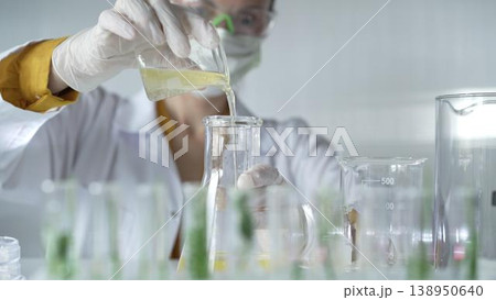 Woman scientist wearing a lab coat, white gloves, and a mask is pouring a yellow oily liquid from a beaker into an Erlenmeyer flask in a laboratory setting, close up. Science and medicine 138950640