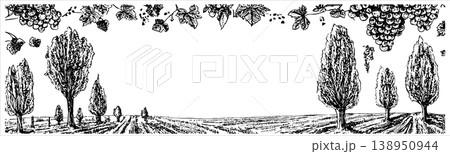 Vineyard Landscape Banner Sketch with Grape Vines Cypress Trees and Country Road Vineyard Landscape Banner Sketch with Grape Vines Cypress Trees and Country Road 138950944