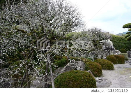 薩摩の小京都 日本遺産 知覧の庭園 薩摩の小京都 日本遺産 知覧の庭園 138951180