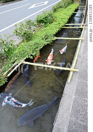 薩摩の小京都　日本遺産　知覧の庭園　清流溝 138951185