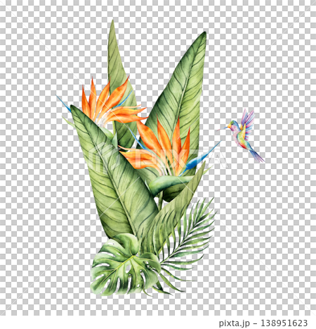 Strelitzia flowers and monstera, palm leaves with Hummingbird. Watercolor hand drawn colorful bird, isolated illustration on transparent background. Perfect for tropical design projects. For designers Strelitzia flowers and monstera, palm leaves with Hummingbird. Watercolor hand drawn colorful bird, isolated illustration on transparent background. Perfect for tropical design projects. For designers 138951623