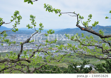 展望台近くの柿畑から紀ノ川・九度山橋を望む(高野山町石道)【和歌山県九度山町】 138951626